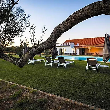 B&B Vila Fuzeta Bed&Breakfast 푸제타