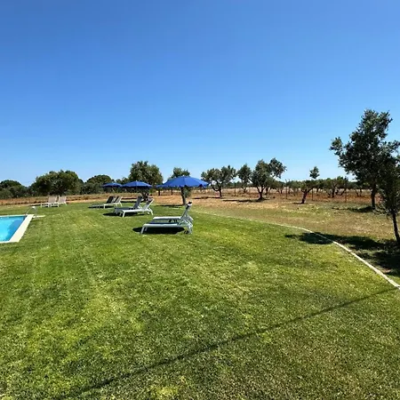 Vila Fuzeta Bed&Breakfast Bed & Breakfast Fuzeta